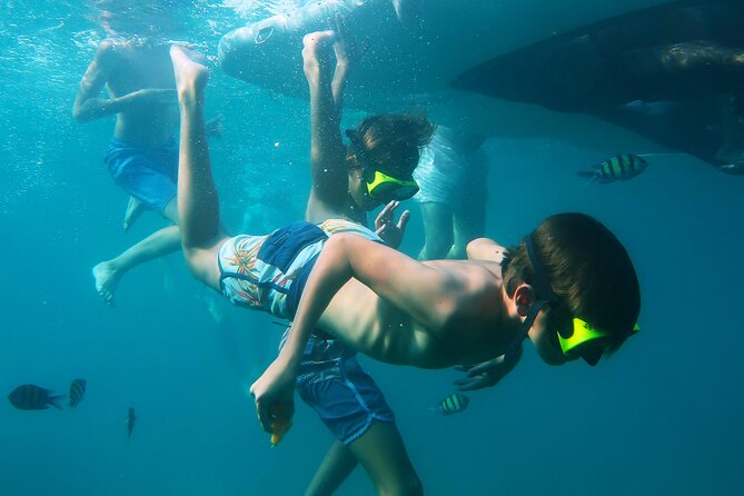 Phuket 3 Khai Island Speedboat With Snorkeling (Half or Full Day) - Snorkeling reality check: what you can expect from shore reefs and reef conditions
