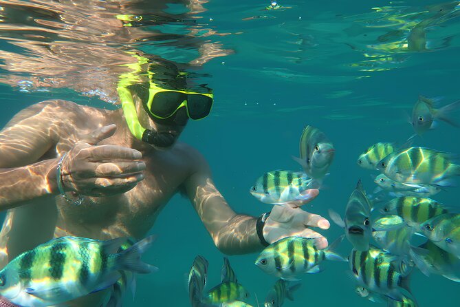 Phuket 3 Khai Island Speedboat With Snorkeling (Half or Full Day) - The island lineup: Khai Nok, Koh Nok, and Khai Nai (Cat Island)