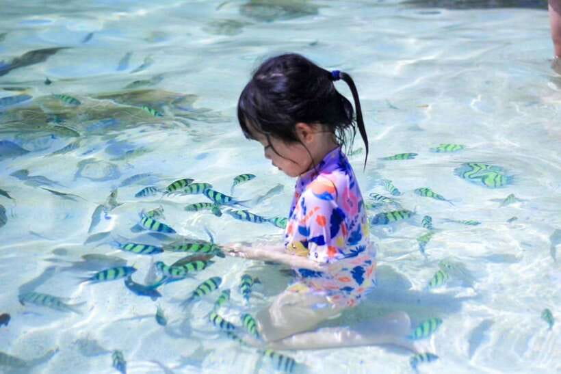Phuket: 3 Khai Islands Relax & Snorkeling Half/Full Day Tour - Snorkeling Gear, Safety Gear, and the Small Comfort Wins