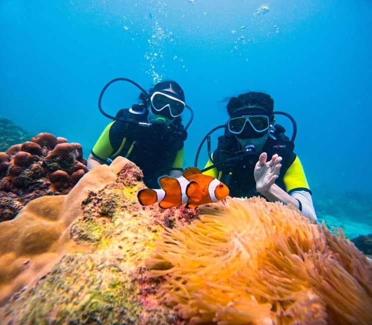 Phuket: 3 Khai Islands Speedboat Tour- Snorkeling & Relaxing - Key Highlights You’ll Feel Fast
