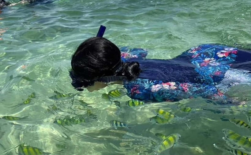 Phuket: 3 Khai Islands Speedboat Tour- Snorkeling & Relaxing - Price and Logistics: Transfers, Island Fees, and Pier Realities