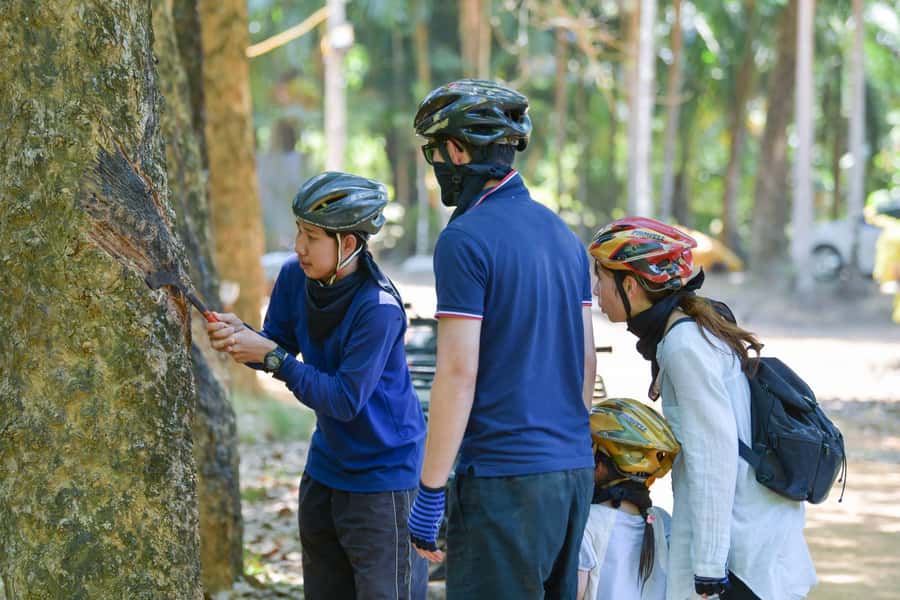 Phuket: ATV Mangrove Jungle & Hidden Beach Tour - Price and Value: Is $73 Worth It?
