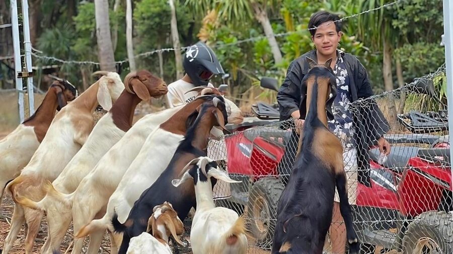 Phuket: ATV Ride with Secret Sea Viewpoints and Swing - The secret sea viewpoint and the swing stop for real photo moments