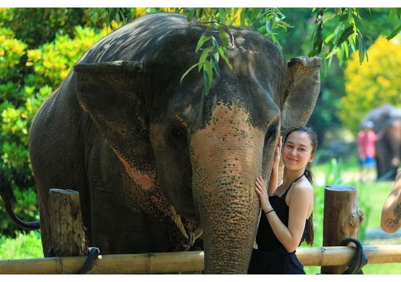 Phuket: Bamboo Rafting & ATV Ride (Optional) - Lunch, Snacks, and the Timing That Keeps You From Crashing