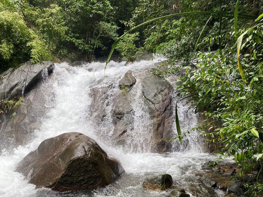 Phuket: Bamboo Rafting, Monkey Cave, and ATV Option - ATV Through Jungle Thickets: Adrenaline, Mud, and Group Pace