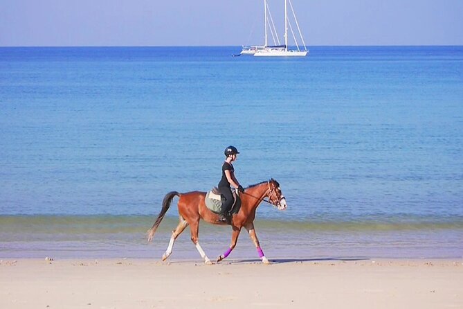 Phuket Beach and Horse Rides 1 Hour Experience - Phuket Beach and Horse Rides: Why This 1-Hour Experience Works