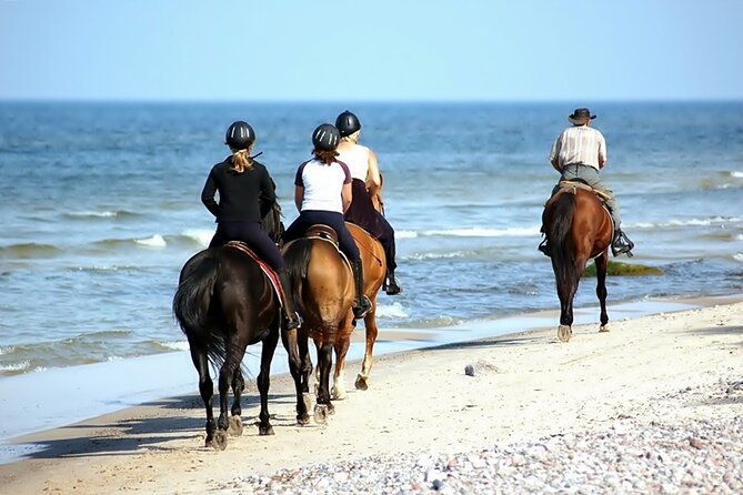 Phuket Beach and Horse Rides 1 Hour Experience - Walking, Trotting, and Wave Time: Beginner-Friendly Coaching