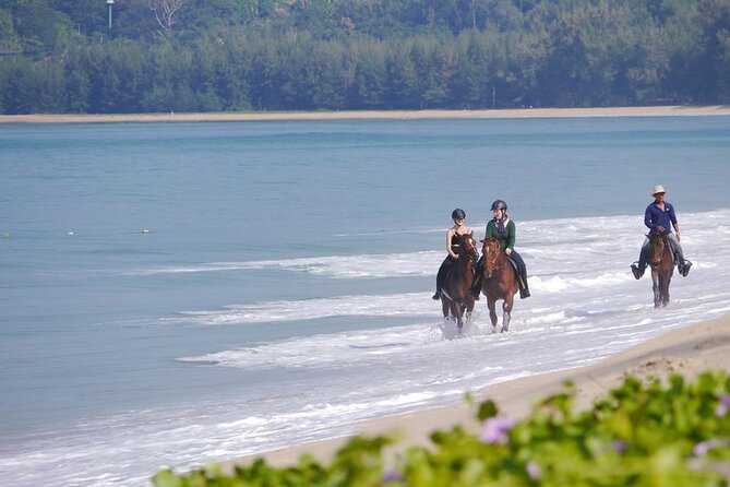 Phuket Beach and Horse Rides 1 Hour Experience - Safety, Control, and Why the Group Size Matters