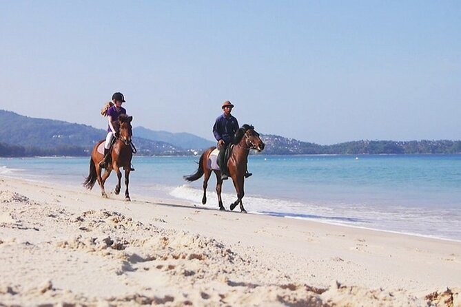 Phuket Beach and Horse Rides 1 Hour Experience - Timing and Weather: When the Ride Is Most Comfortable