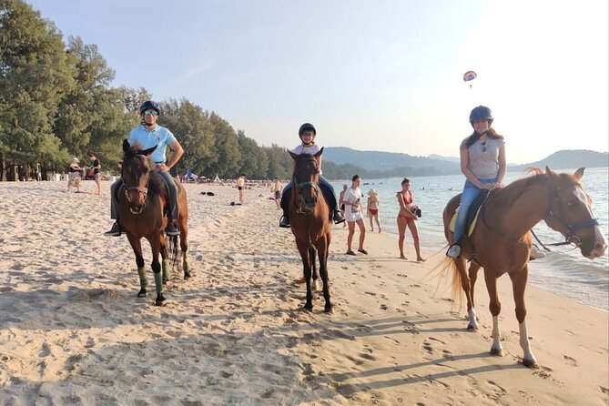 Phuket Beach and Horse Rides 1 Hour Experience - The Beach Transition: From Stable to Sand and Sea Breeze