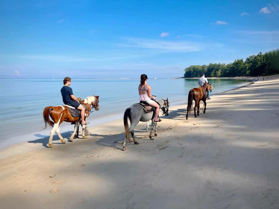 Phuket Beach Horseback Adventure - Key Highlights You’ll Actually Care About