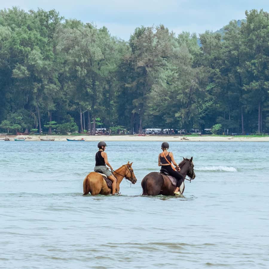 Phuket Beach Horseback Adventure - Why Nai Yang Beach Horseback Riding Feels Different