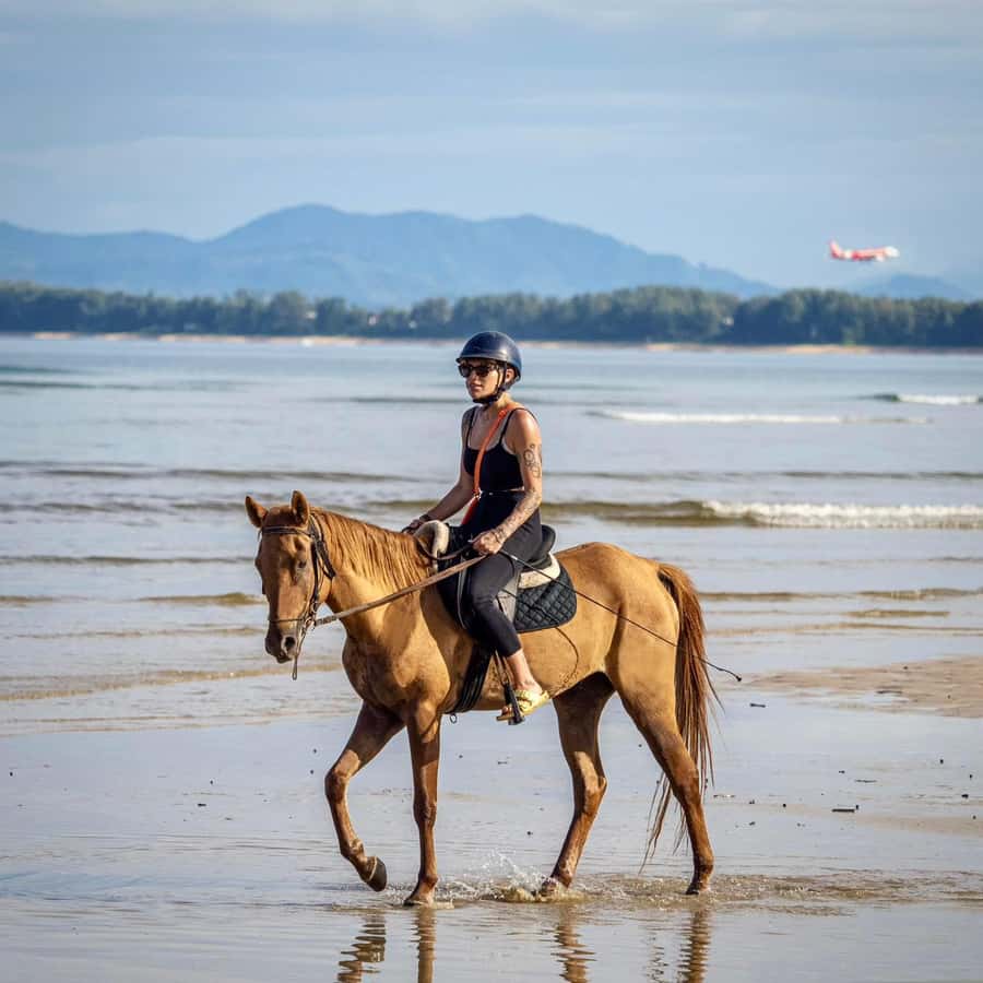 Phuket Beach Horseback Adventure - Who This Phuket Horse Ride Works For (and Who Should Skip)