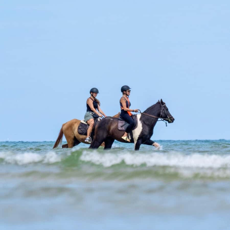 Phuket Beach Horseback Adventure - Price and Value: Is $75 Worth It for One Hour?
