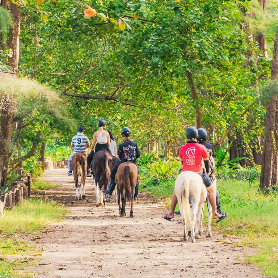 Phuket Beach Horseback Adventure - What People Seem to Love Most (Based on the Experience Profile)
