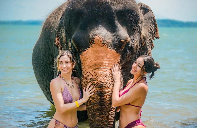 Phuket:Beach walk with elephants, rain & care. 2.5 hours - Key things that make this elephant tour worth your time