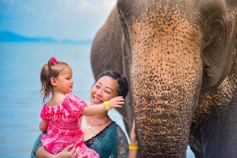 Phuket:Beach walk with elephants, rain & care. 2.5 hours - Lily Elephant Camp: a coastal Phuket sanctuary near Yamu