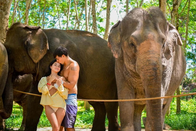 Phuket:Beach walk with elephants, rain & care. 2.5 hours - Jungle walk and elephant feeding: what you’ll do beyond photos
