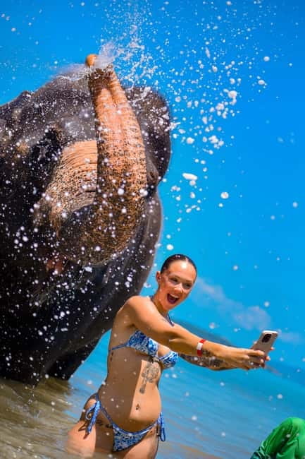 Phuket:Beach walk with elephants, rain & care. 2.5 hours - Making herb/vitamin balls and elephant supplement care