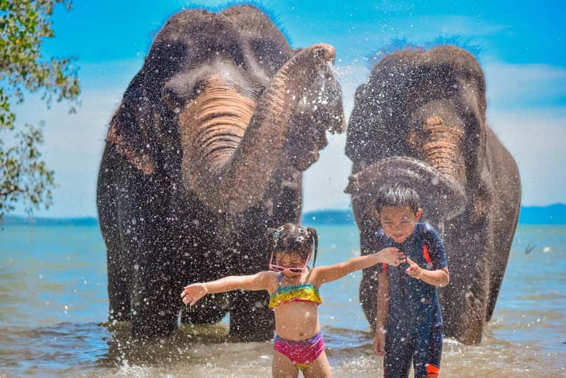 Phuket:Beach walk with elephants, rain & care. 2.5 hours - The 150-minute flow: how the 2.5 hours actually feel