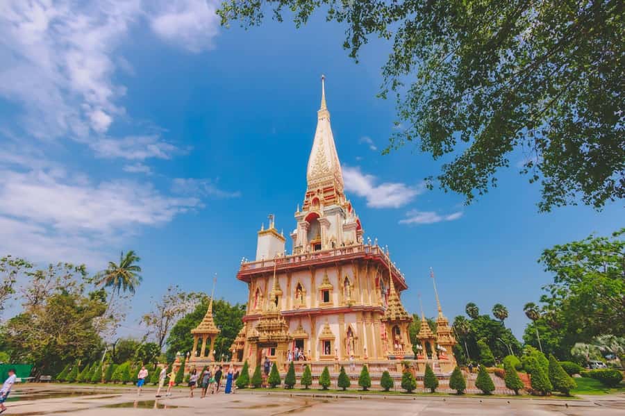 Phuket Big Buddha city tour + Lion Land with tour guide(ENG) - A Half-Day Phuket Remix: Temples, Old Town, Lookouts, and One Animal Stop