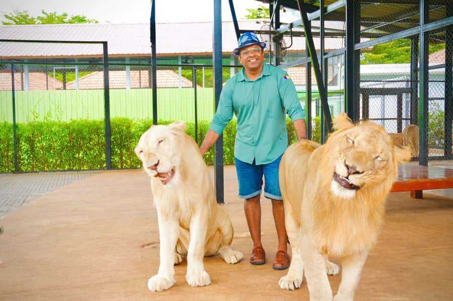 Phuket Big Buddha city tour + Lion Land with tour guide(ENG) - Wat Chalong: A Temple Visit That’s Respectful, Not Rushed