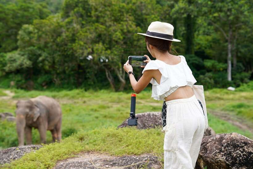 Phuket: Bukit Elephant Park Sanctuary Walk and Feed Tour - What to bring (and what can ruin the day)