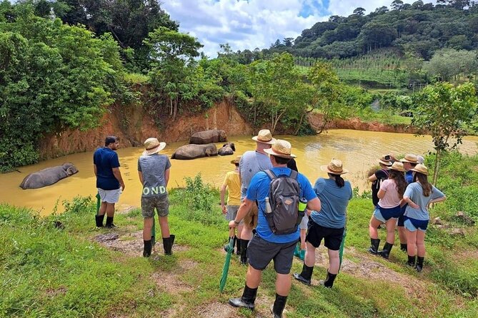 Phuket City Tour & Elephant Sanctuary – Town, Temple, Food & View - Price and transfers: when $81.47 feels fair