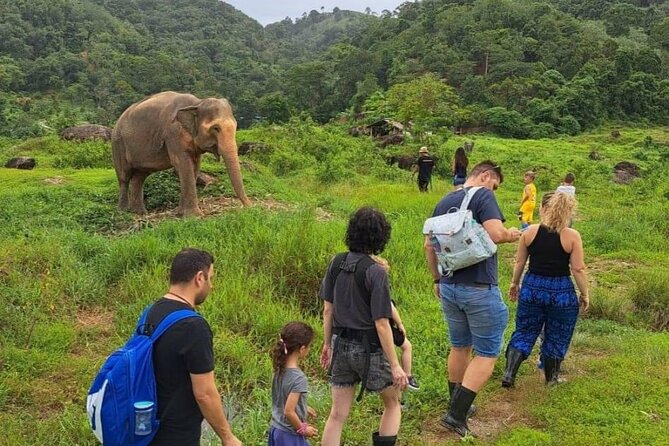 Phuket City Tour & Elephant Sanctuary – Town, Temple, Food & View - Mee Ton Poe lunch: Hokkien noodles and real sitting-down food