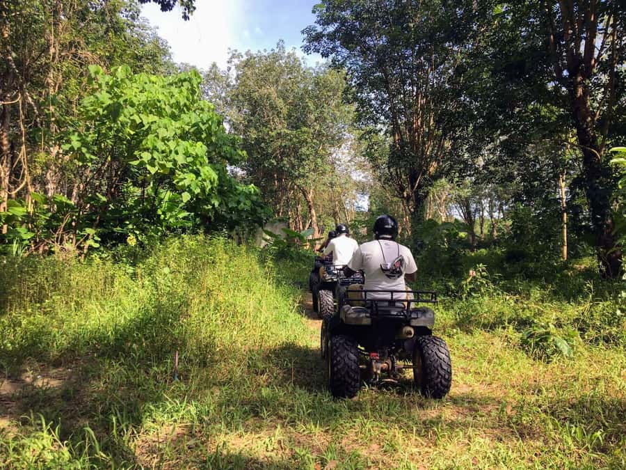 Phuket City Tour with ATV Adventure and Elephant Feeding - Big Bee Farm and cashew factory: the snack stops with real purpose