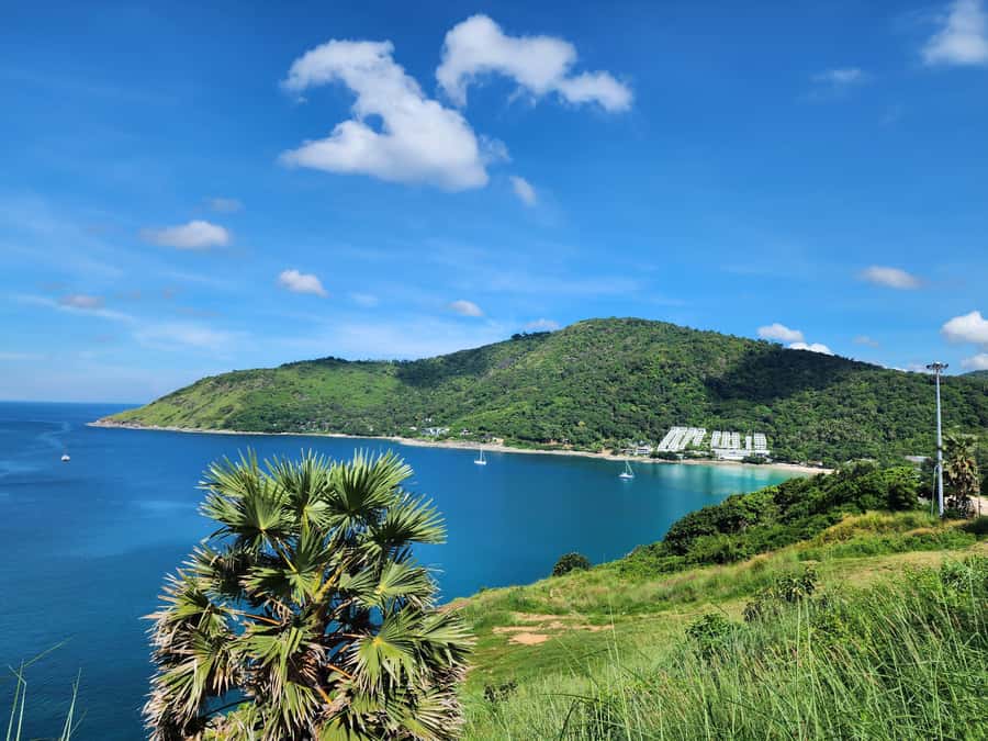 Phuket City Tour with ATV Adventure and Elephant Feeding - Price and logistics: does $112 make sense?