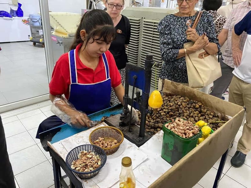 Phuket City Tour with Night Market Visit & Elephant Feeding - Karon and Windmill Viewpoints: Where Phuket Makes Sense Fast