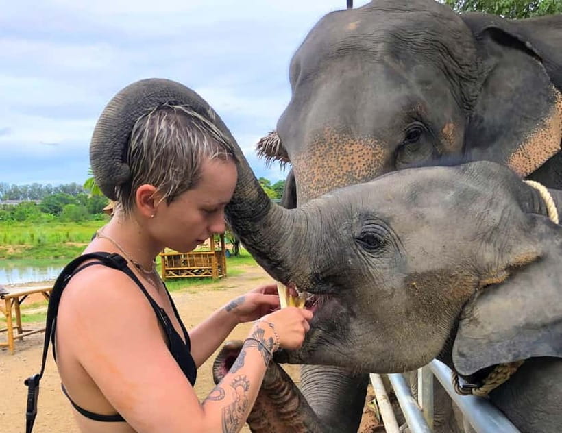 Phuket City Tour with Night Market Visit & Elephant Feeding - Getting From Your Hotel Without the Day Slipping Away