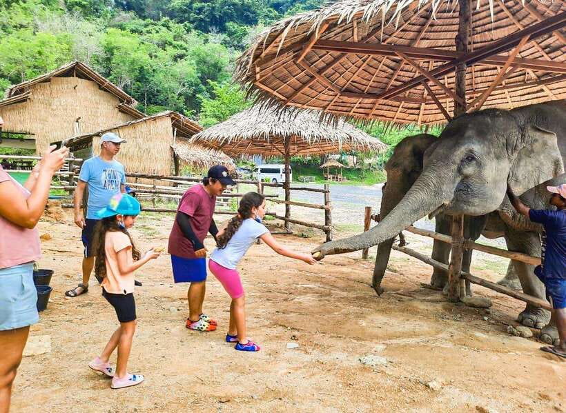 Phuket City Tour with Viewpoints, Temples & Elephant Feeding - Key Things You’ll Notice on This Phuket Tour