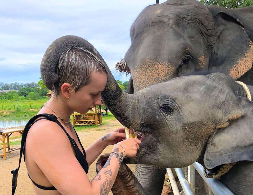 Phuket City Tour with Viewpoints, Temples & Elephant Feeding - What to Bring (So Your Day Doesn’t Feel Like a Blunder)