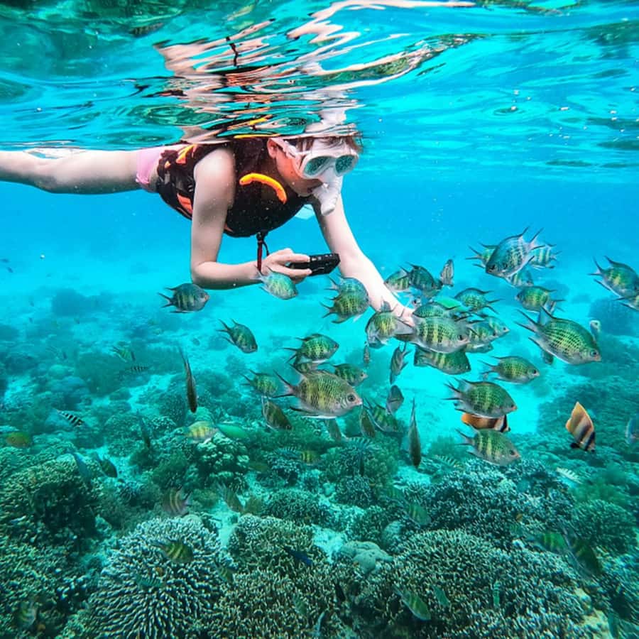 Phuket: Coral and Racha lslands Catamaran Tour with Lunch - Racha Island: Better Visibility, Clear-Kayak Fun, and More Time in the Water