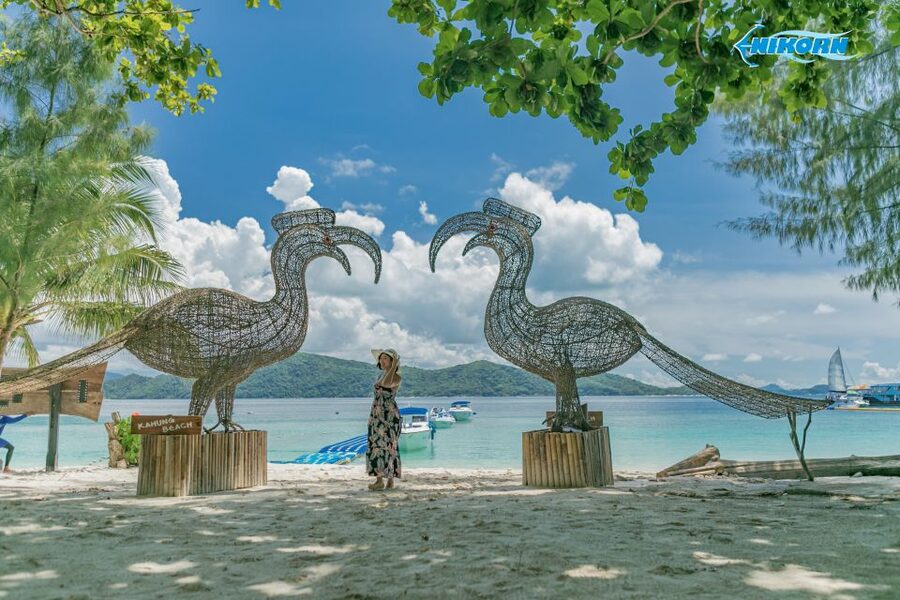 Phuket: Coral Island Day Tour by Speedboat - Optional add-ons: parasailing, kayaking, and a scuba option