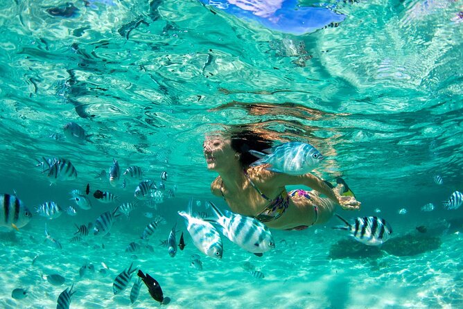 Phuket Coral Island Private Snorkeling Adventure All Inclusive - Key things that make this tour worth your time