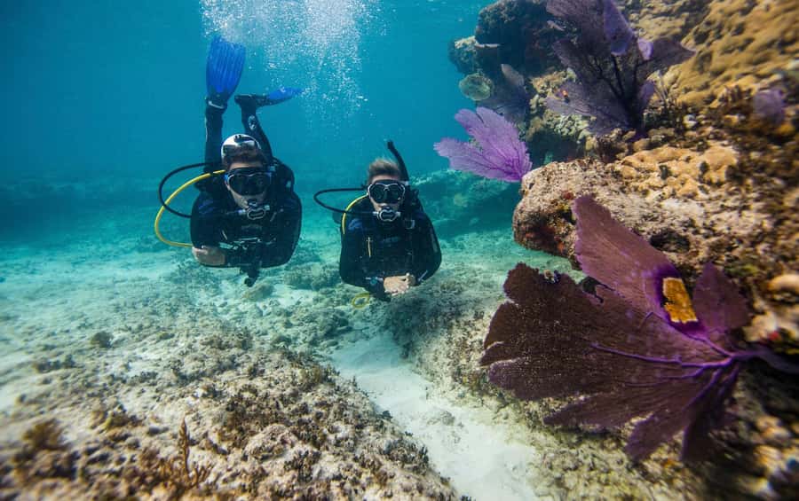 Phuket: Coral Island Snorkeling and Water Activities Trip - Snorkeling on shallow reefs: beginner-friendly, with one caveat