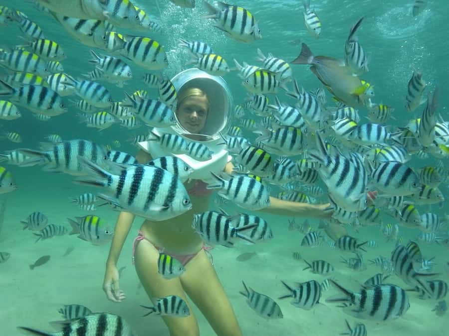 Phuket: Coral Island Snorkeling and Water Activities Trip - Lunch at Kahung restaurant and the beach-chair reset