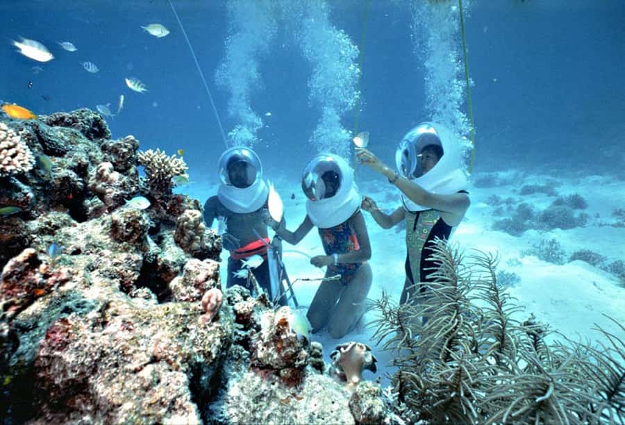 Phuket: Coral Island Snorkeling and Water Activities Trip - Who this tour suits (and who should skip it)
