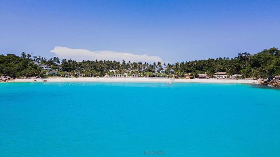Phuket: Coral & Racha Islands Day Trip By Speedboat - Should you book this Coral and Racha day trip?