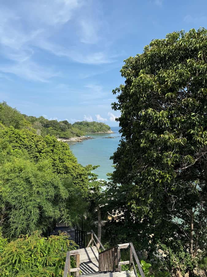 Phuket: Coral Reef Scuba Diving Experience at G Beach Club - Price and what you’re really paying for at $95