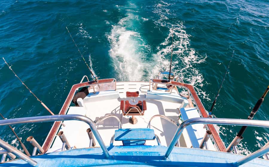Phuket: Deep Sea Fishing at Racha Island Boat Cruise - Marine life viewing: what those sea hours feel like