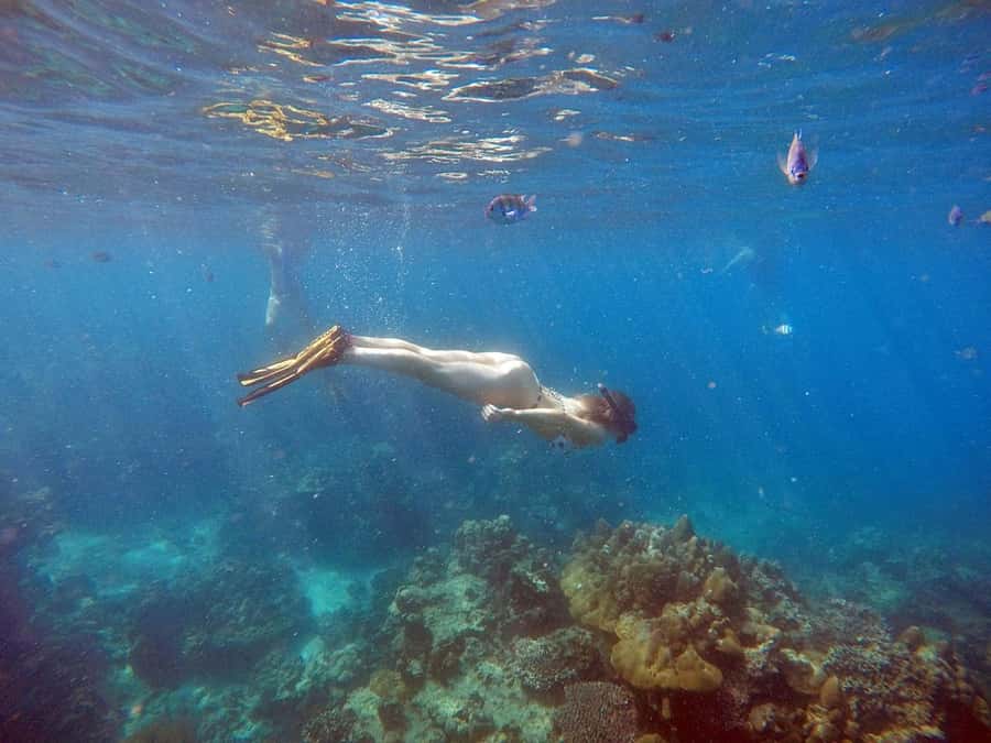 Phuket: Deluxe Phi Phi Tour by Speedboat & Lunch Buffet - Key things I’d zoom in on before you book