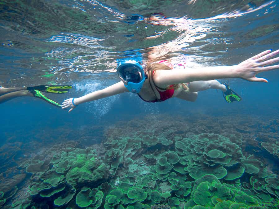 Phuket: Deluxe Phi Phi Tour by Speedboat & Lunch Buffet - Phi Phi’s highlights, packed into a day that stays swim-friendly