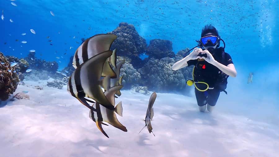 Phuket: Discover Scuba Diving to Racha Yai Island - Boat Comfort, Breakfast + Lunch, and Why Food Inclusion Matters