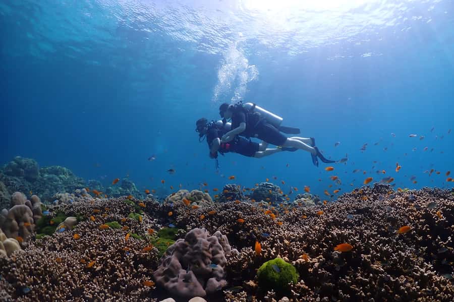 Phuket: Discover Scuba Diving to Racha Yai Island - Photos, the Camera Rules, and Getting 1,000–1,500 THB Worth of Memories