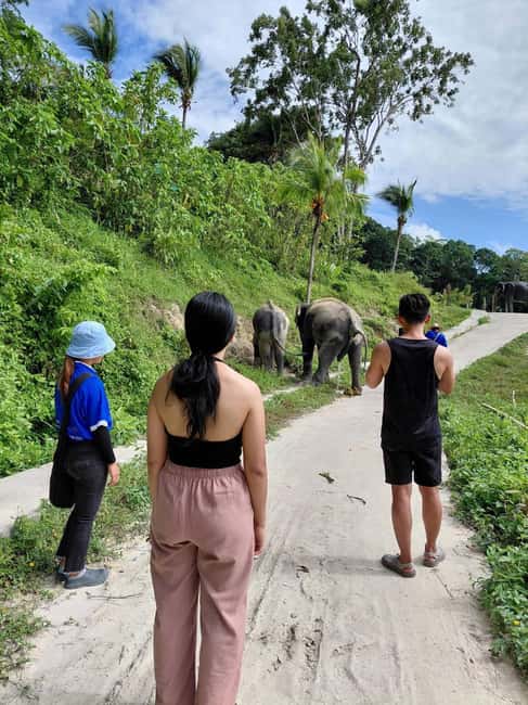 Phuket: Eco Guided Tour at Elephant Sanctuary - Ethical elephant tourism in Phuket: what makes this tour different