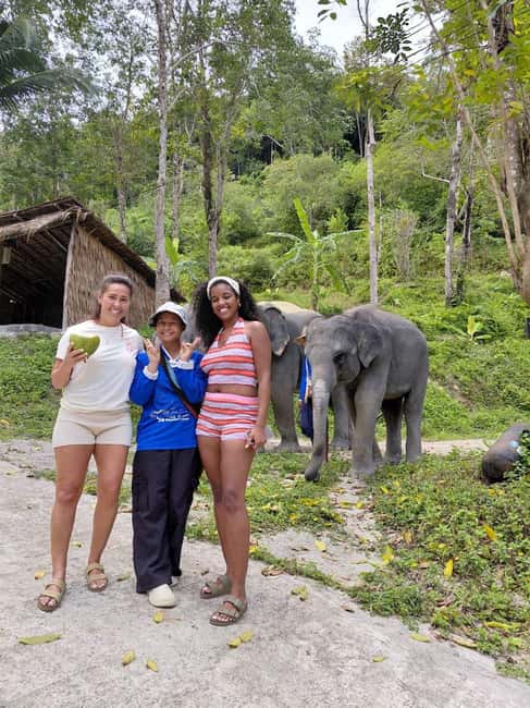 Phuket: Eco Guided Tour at Elephant Sanctuary - Herbal vitamin balls: the hands-on elephant care moment